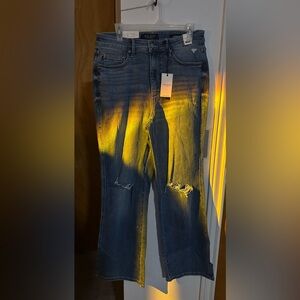 Judy Blue Tummy Control Straight Jeans